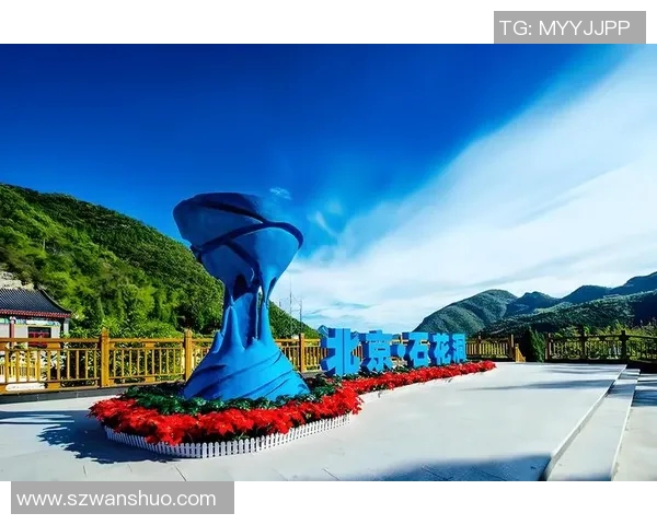 重磅专题：探秘北京飞盘队如何实现反击战术的创新与突破